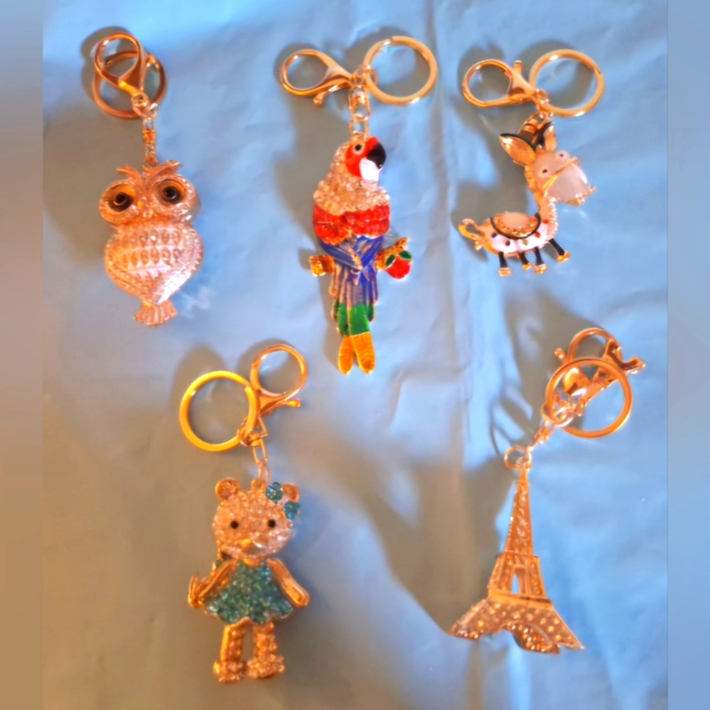 Keyrings, Charms. $15 Each
